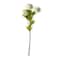 Snowball Spray Floral Essentials by Ashland®